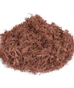 Buy Mexican – Mimosa hostilis Inner root bark | Jurema Preta
