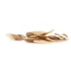 Khat seeds Catha edulis 10 seeds