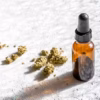 Salvia Divinorum 2,5:1 Extract – Salvia
