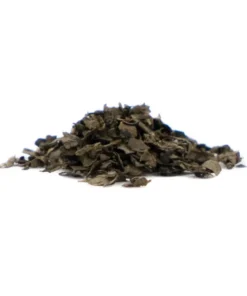 Salvia Divinorum 40X Extract (10 Grams)